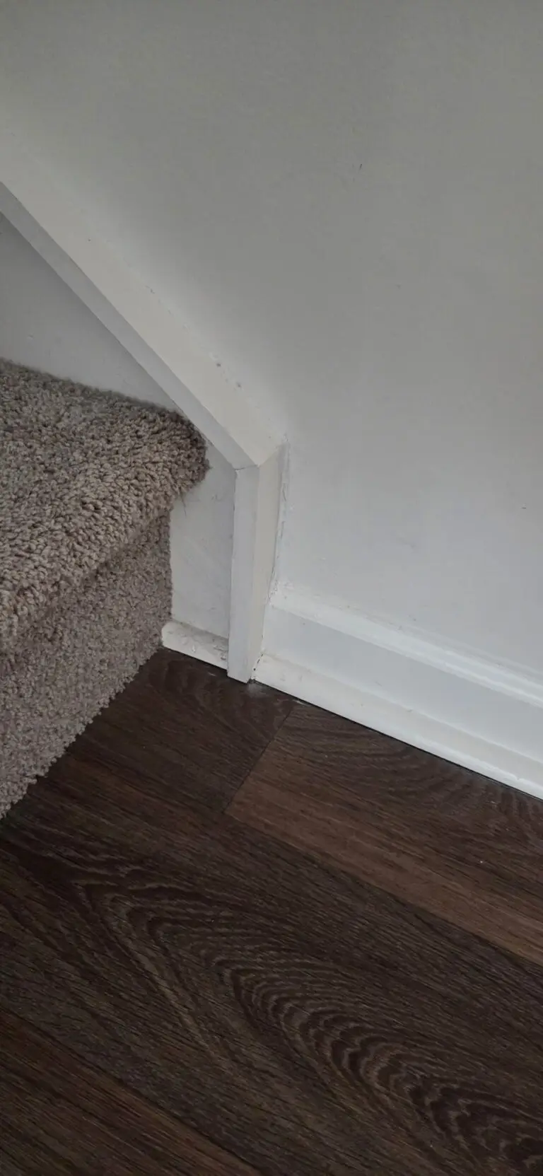 Drywall and Vinyl Floor Repair in Albemarle